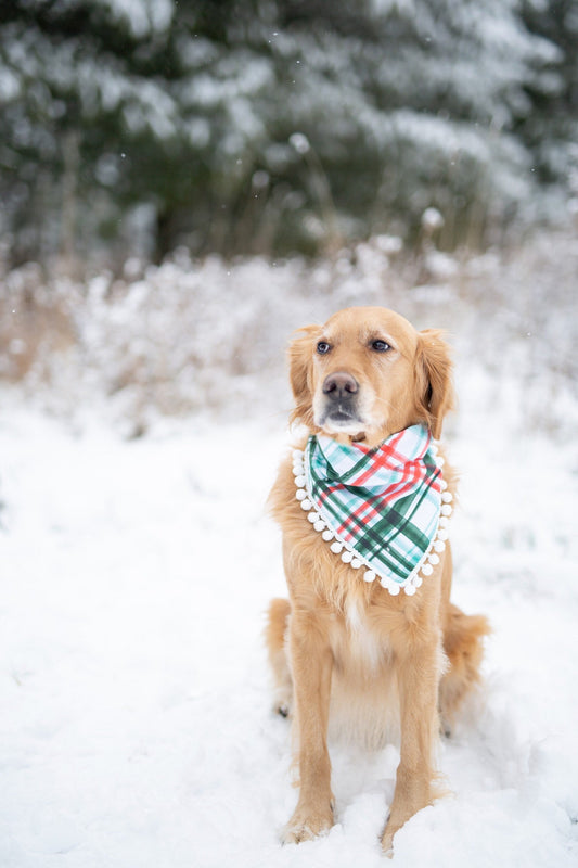 Winter Plaid Dog Bandana