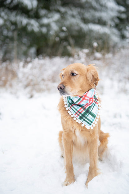 Winter Plaid Dog Bandana