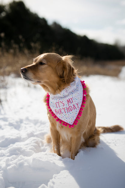 Lucy (Birthday Girl)