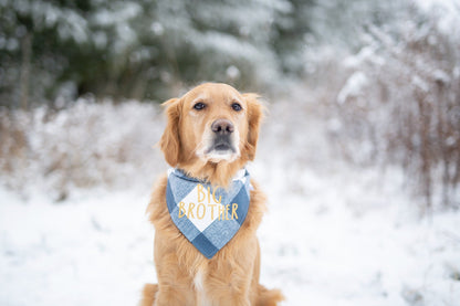 Murphy (Big Brother)