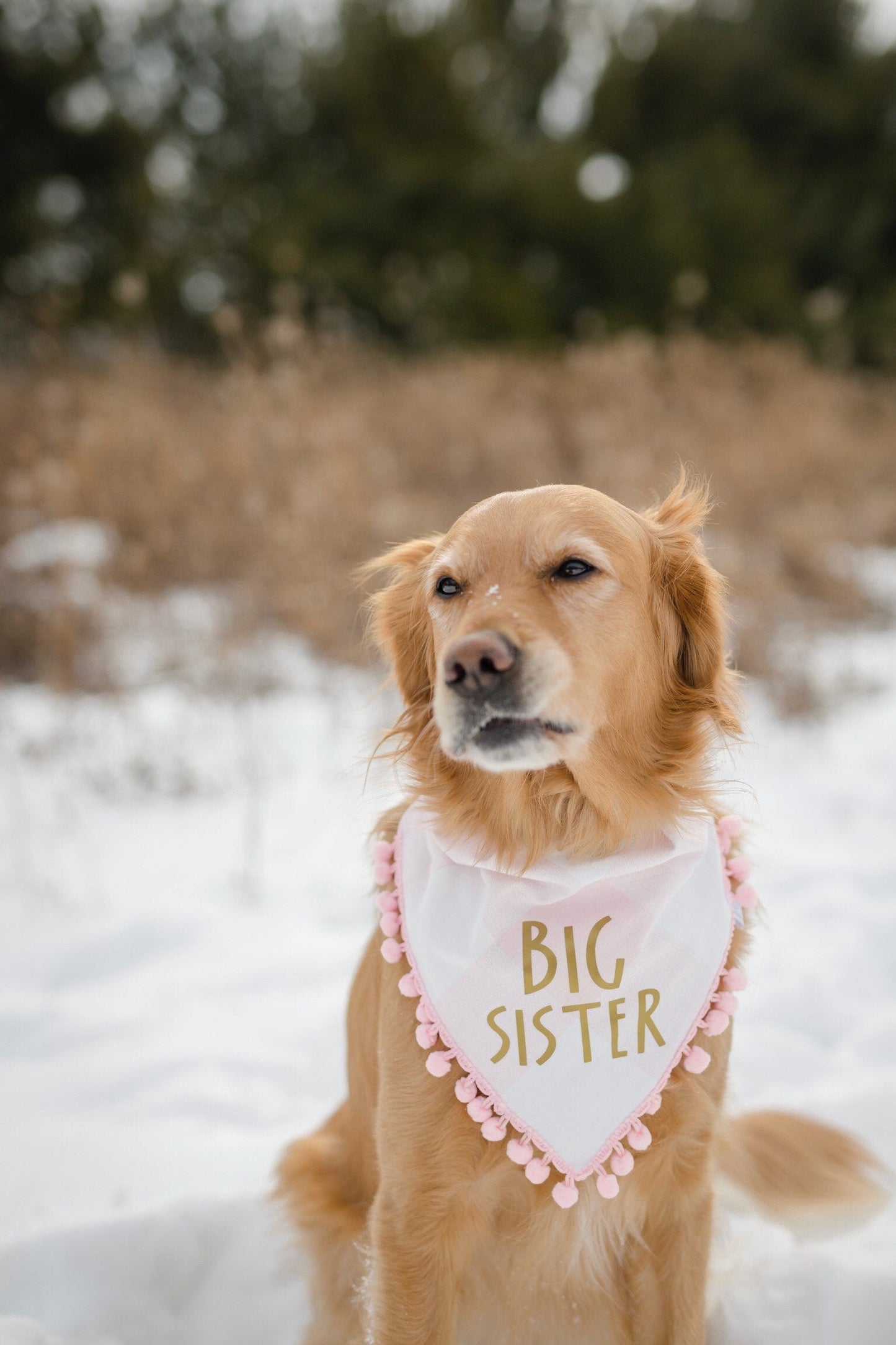 Big sister