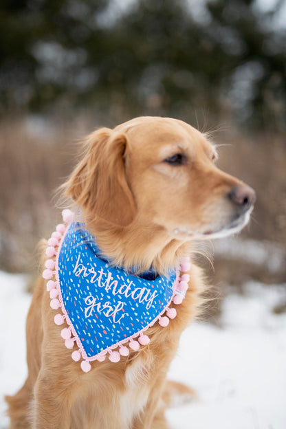 Hazel (Birthday Girl)