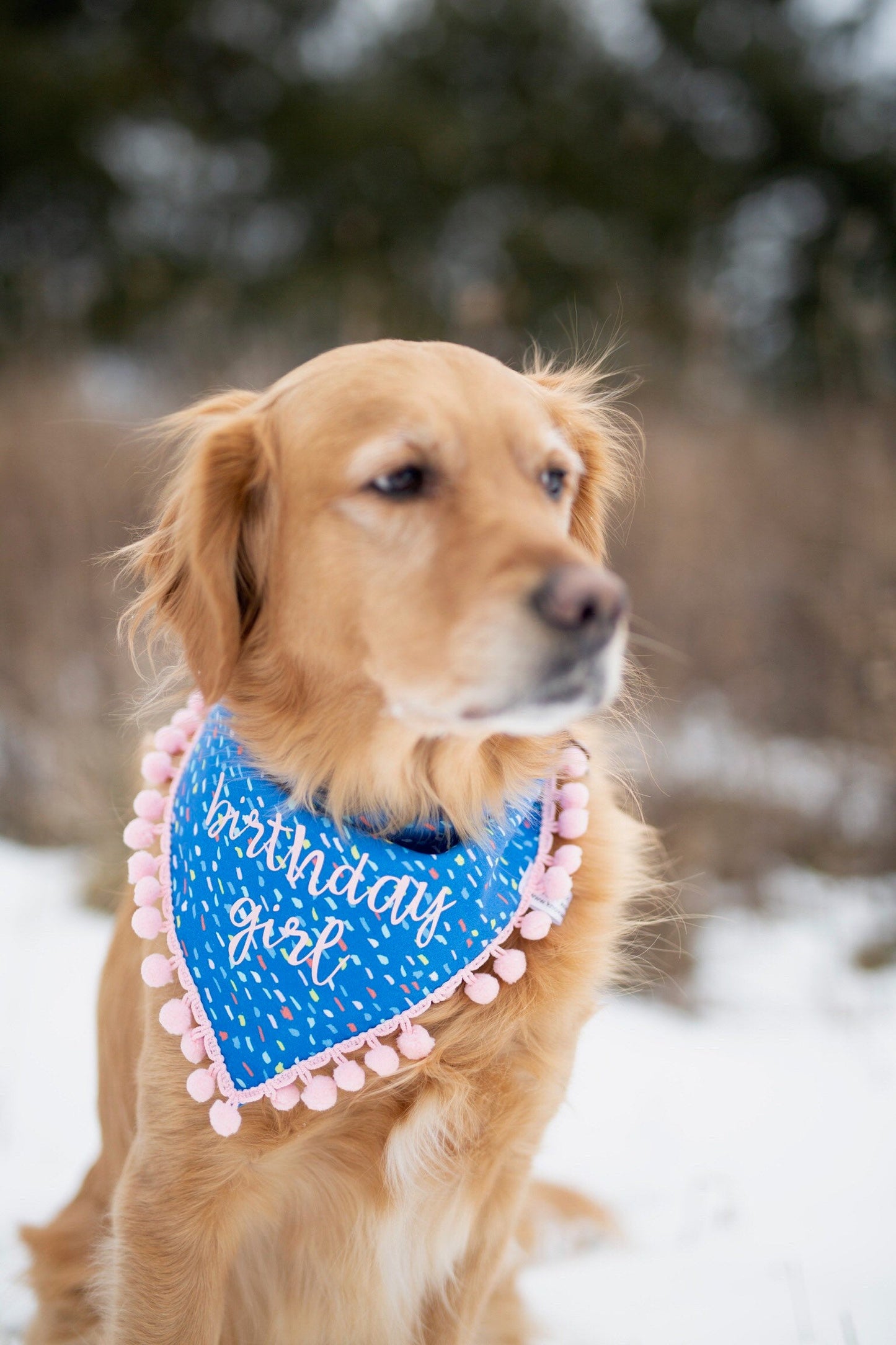 Hazel (Birthday Girl)