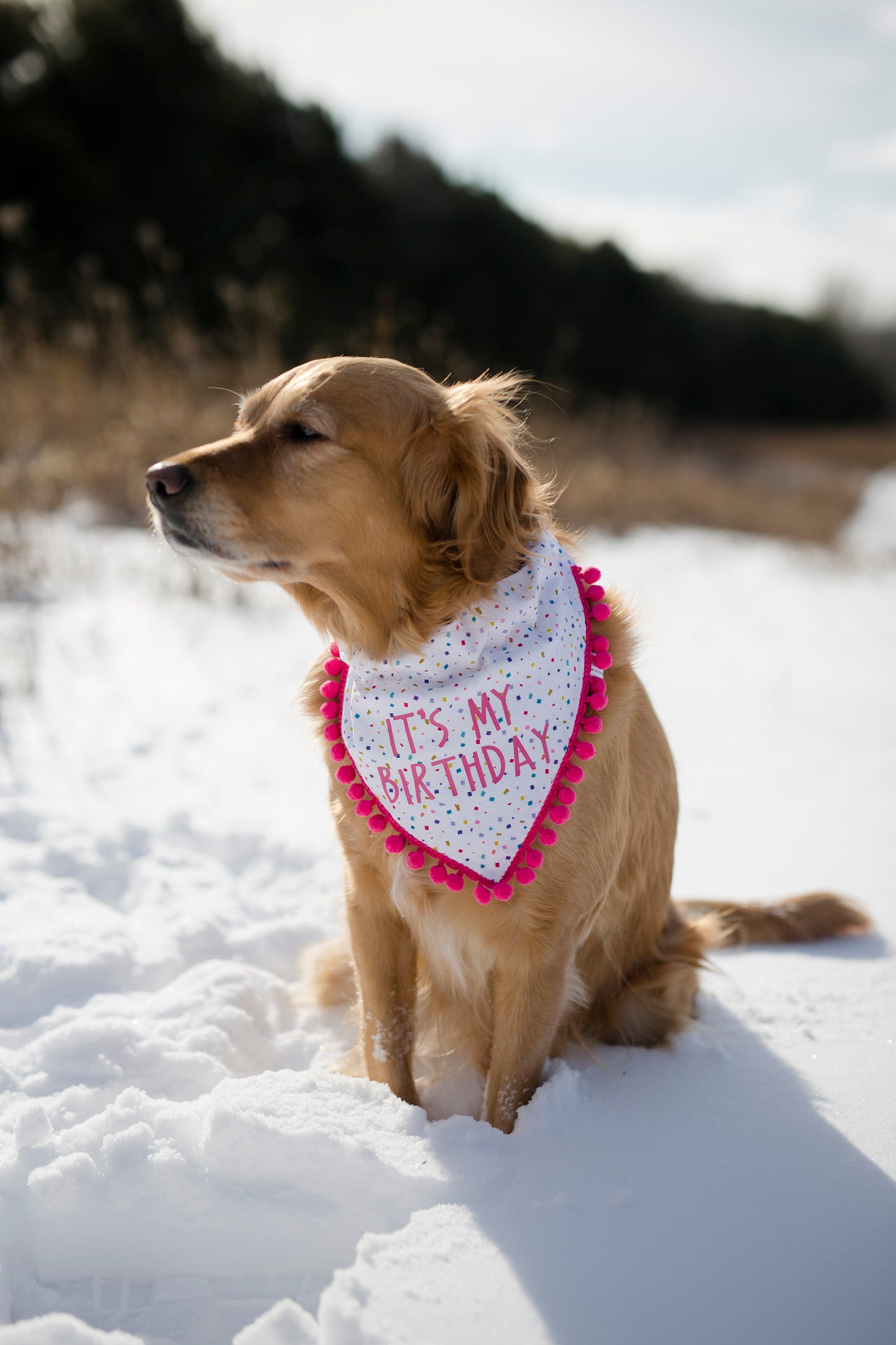 Lucy (Birthday Girl)