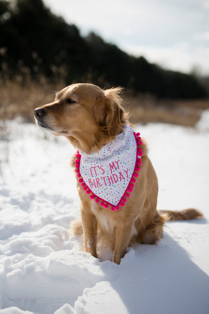 Lucy (Birthday Girl)