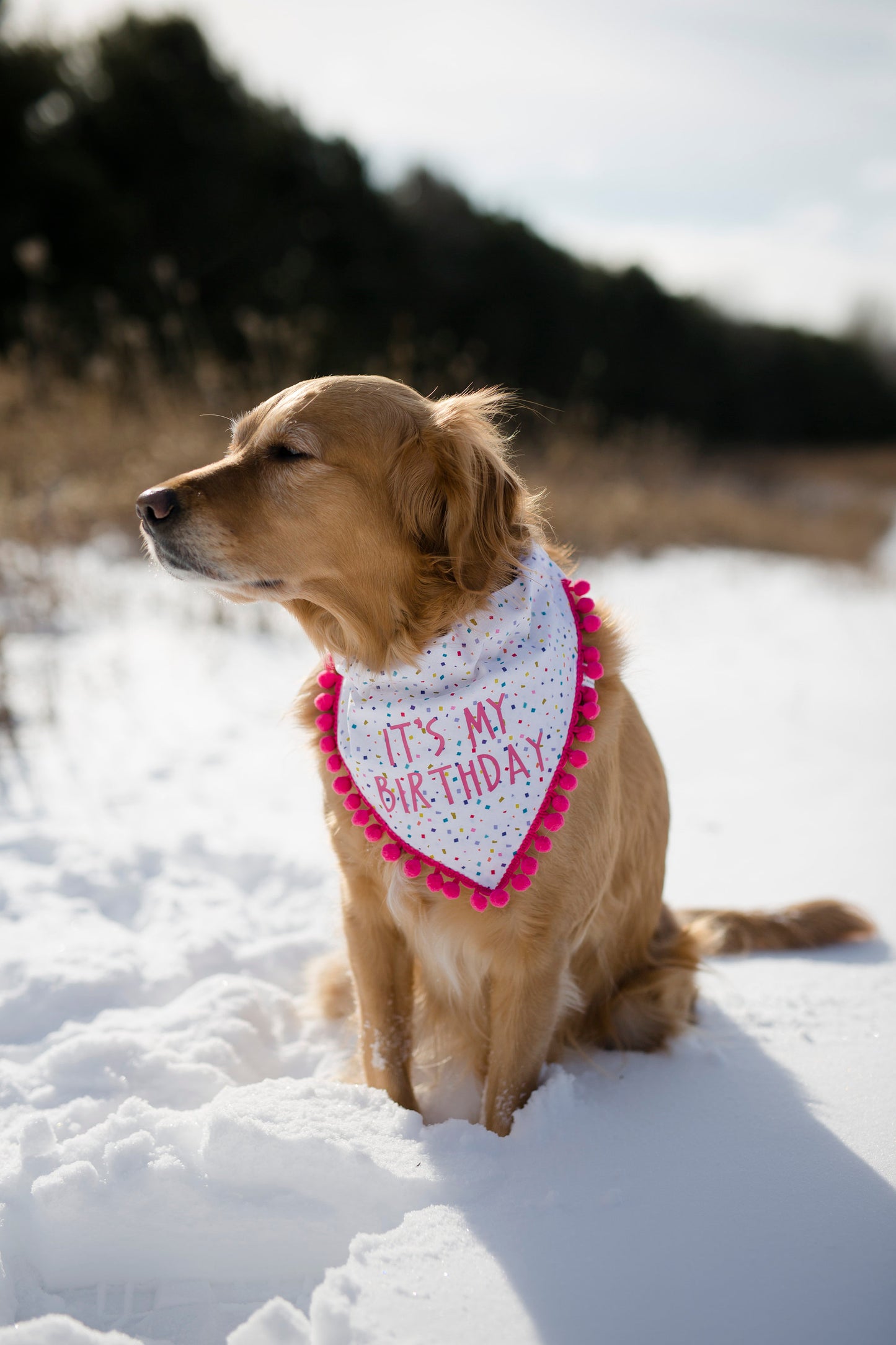 Lucy (Birthday Girl)