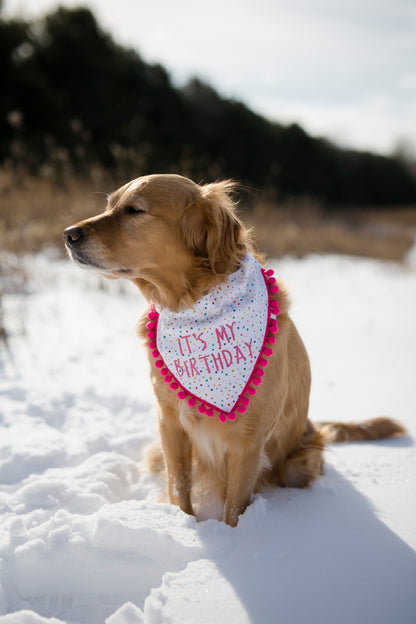 Lucy (Birthday Girl)