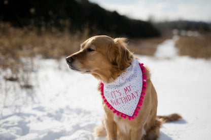 Lucy (Birthday Girl)