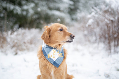 Murphy (Big Brother)