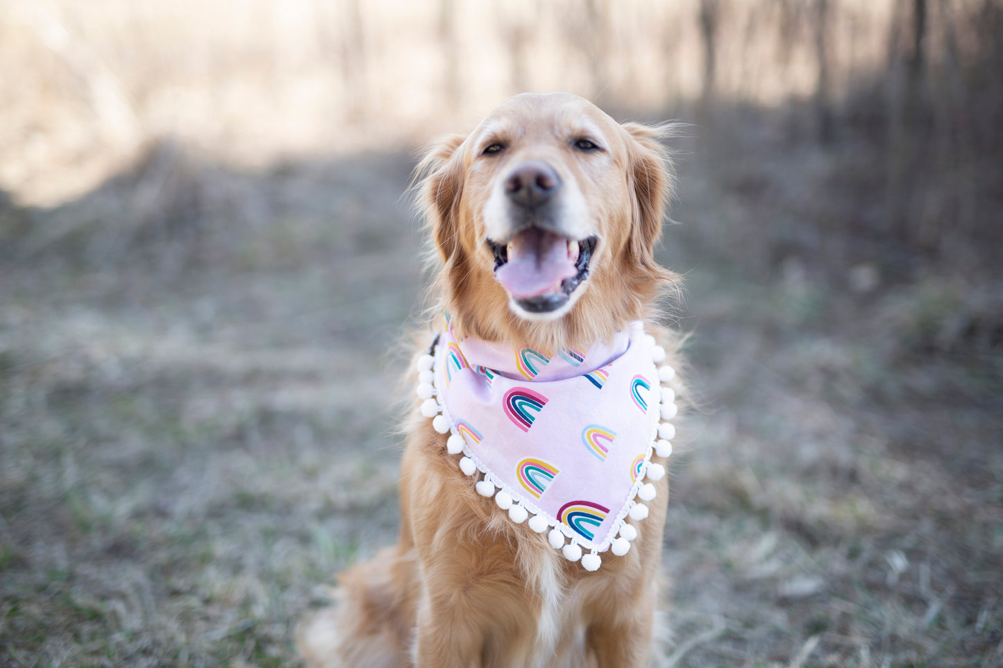 Rainbow dog bandana, rainbow baby, pregnancy announcement, pride dog bandana, over the collar dog bandana, LGBTQ, Pom Pom dog bandana, pink,