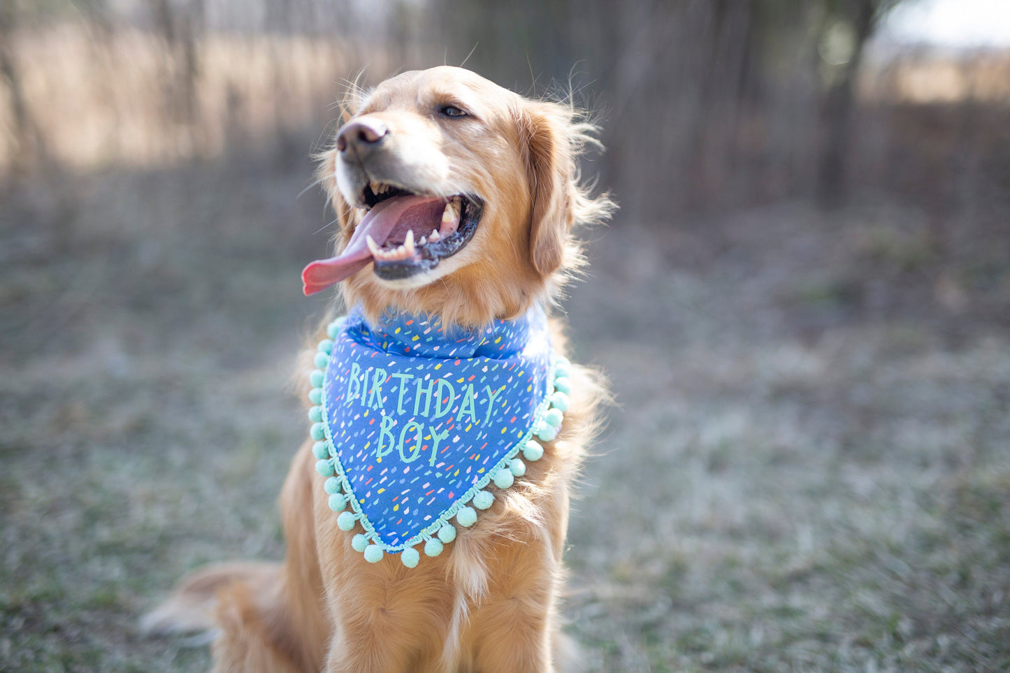 Sawyer (Birthday Boy)