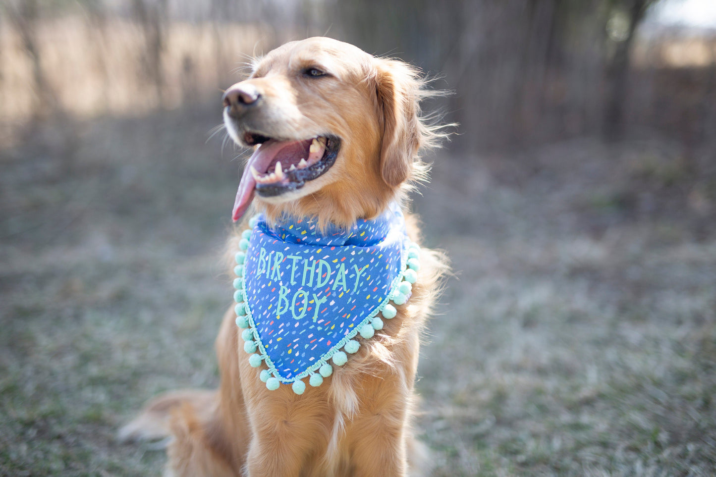 Sawyer (Birthday Boy)