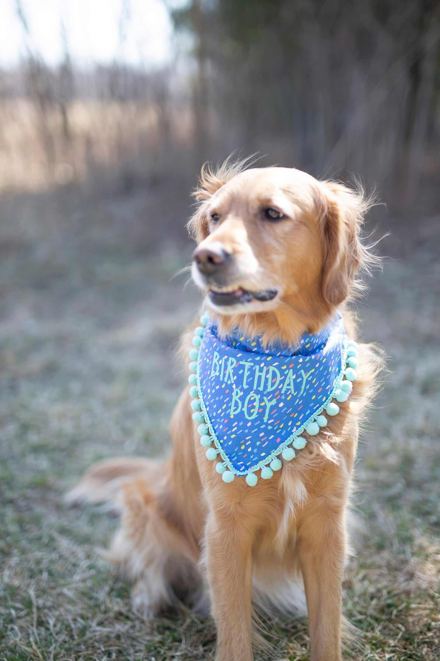 Sawyer (Birthday Boy)