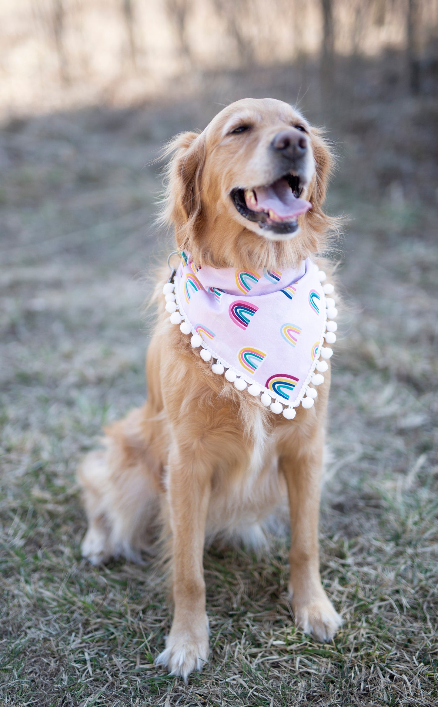 Rainbow dog bandana, rainbow baby, pregnancy announcement, pride dog bandana, over the collar dog bandana, LGBTQ, Pom Pom dog bandana, pink,