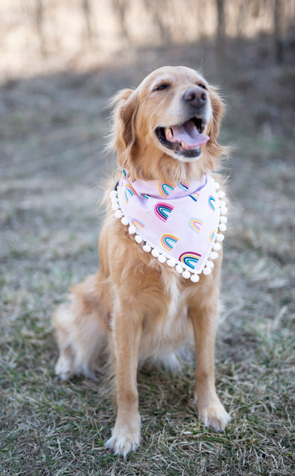 Rainbow dog bandana, rainbow baby, pregnancy announcement, pride dog bandana, over the collar dog bandana, LGBTQ, Pom Pom dog bandana, pink,
