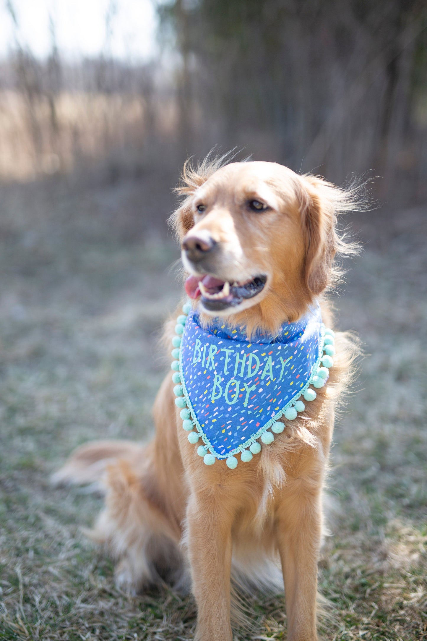 Sawyer (Birthday Boy)