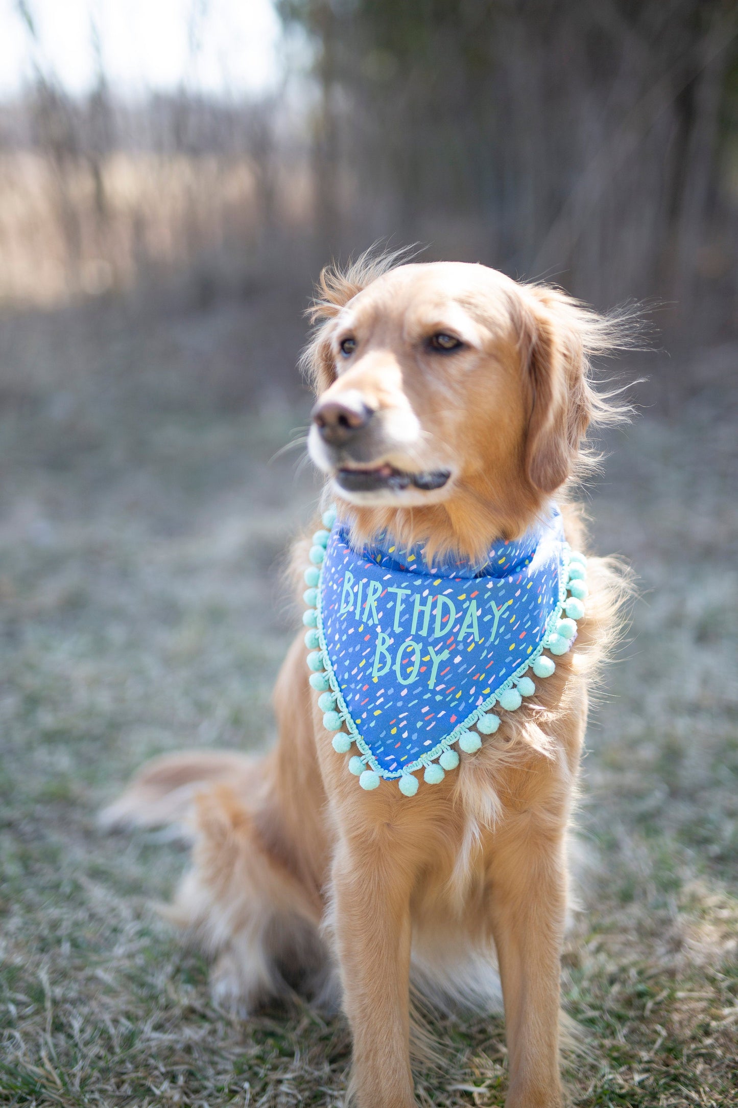 Sawyer (Birthday Boy)