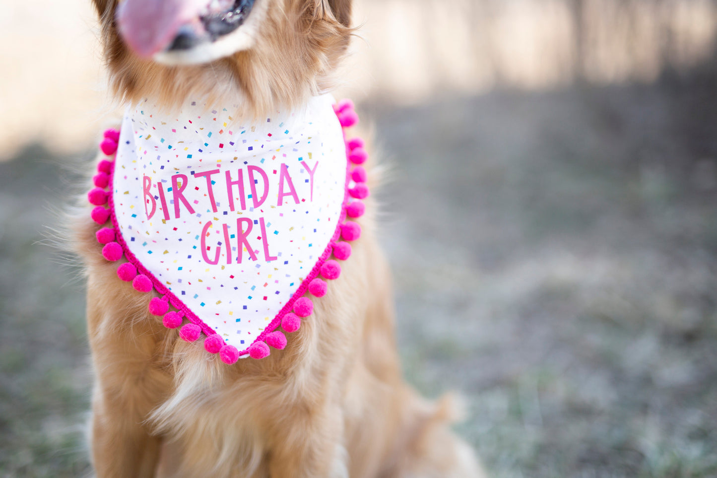 Lilly (Birthday girl)