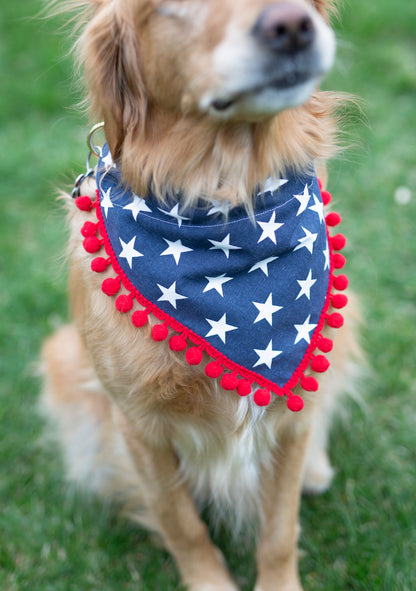 Charlie (Independence Day Dog Bandana)
