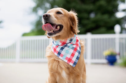 Corie REVERSIBLE - (Summer Dog Bandana)