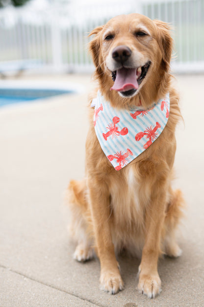 Corie REVERSIBLE - (Summer Dog Bandana)