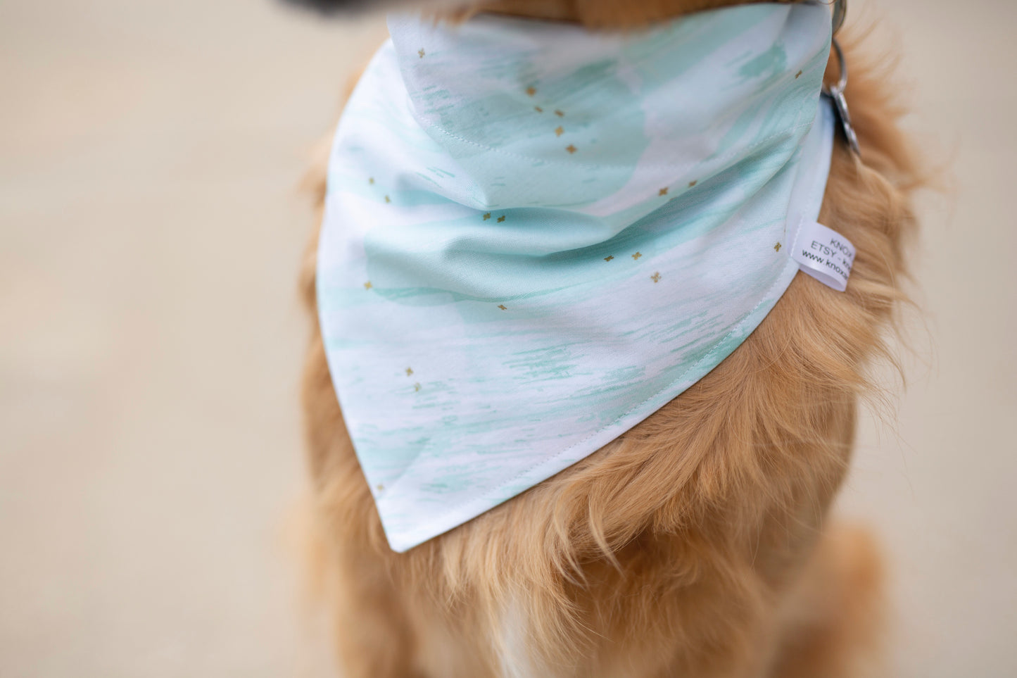 Tess ( Summer Dog Bandana)