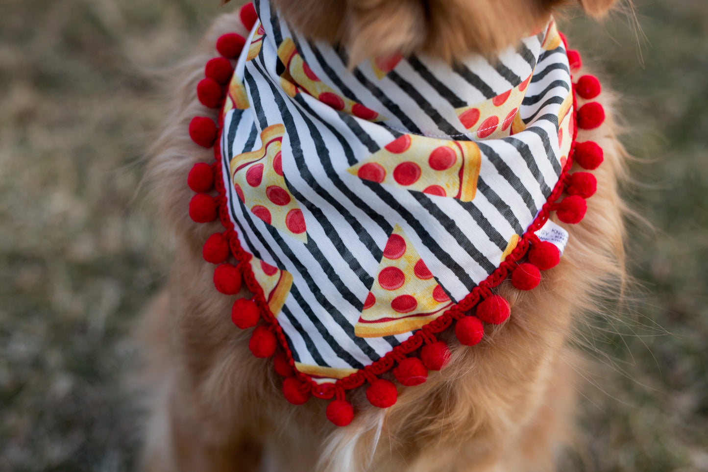 Pizza dog bandana