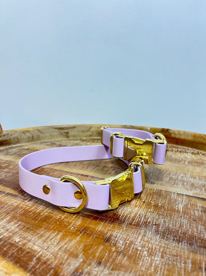 Lavender Collar with Brass Hardware