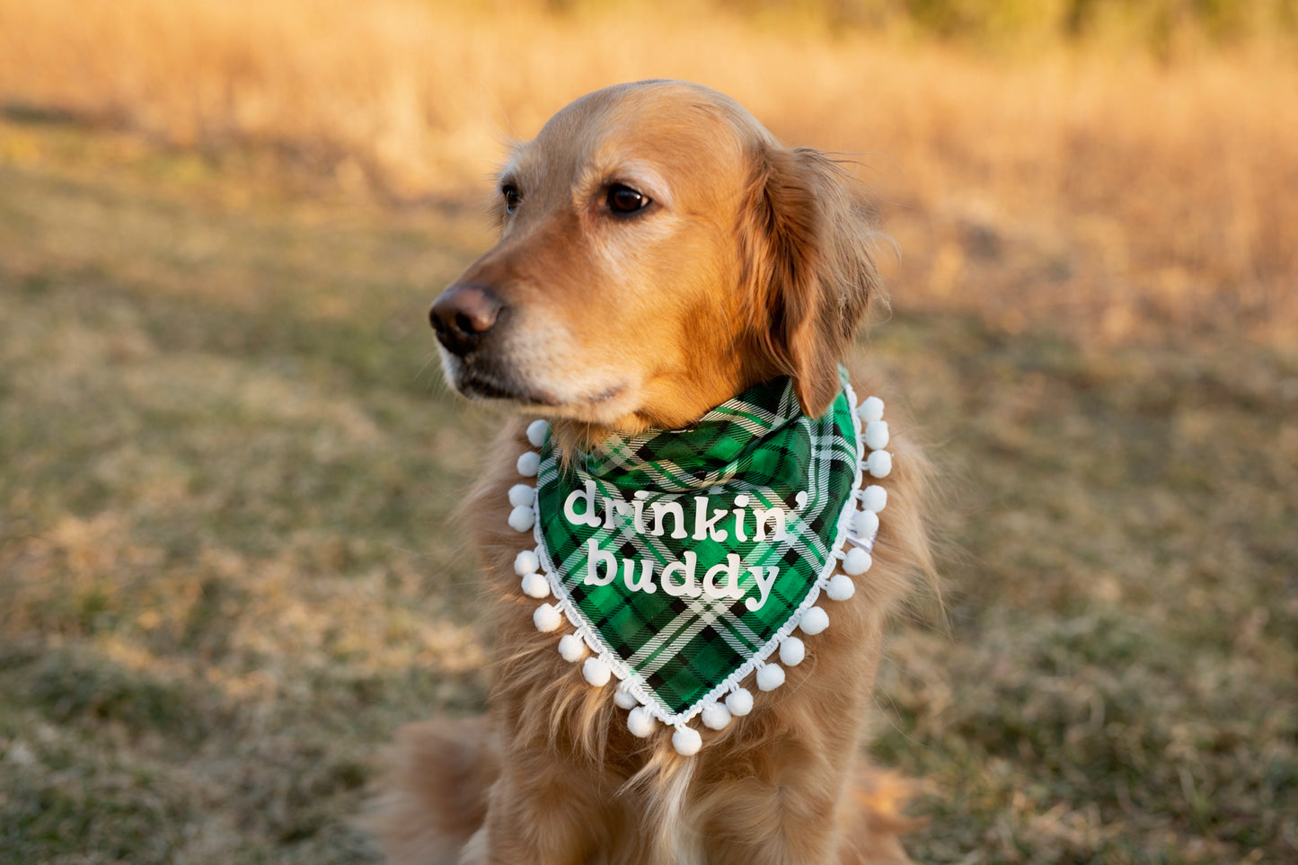 Drinkin' Buddy Dog Bandana