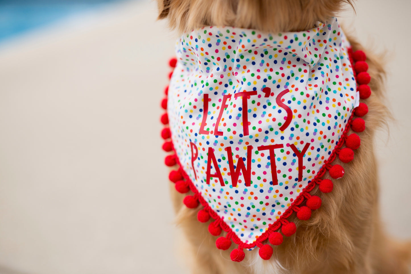 Campbell (Birthday Dog Bandana)