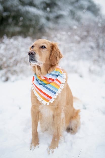 Rainbow Dog Bandana