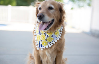 Lemon Summer Dog Bandana