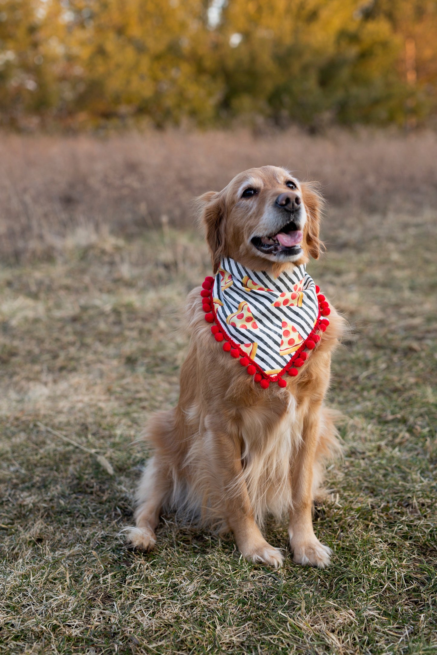 Pizza dog bandana
