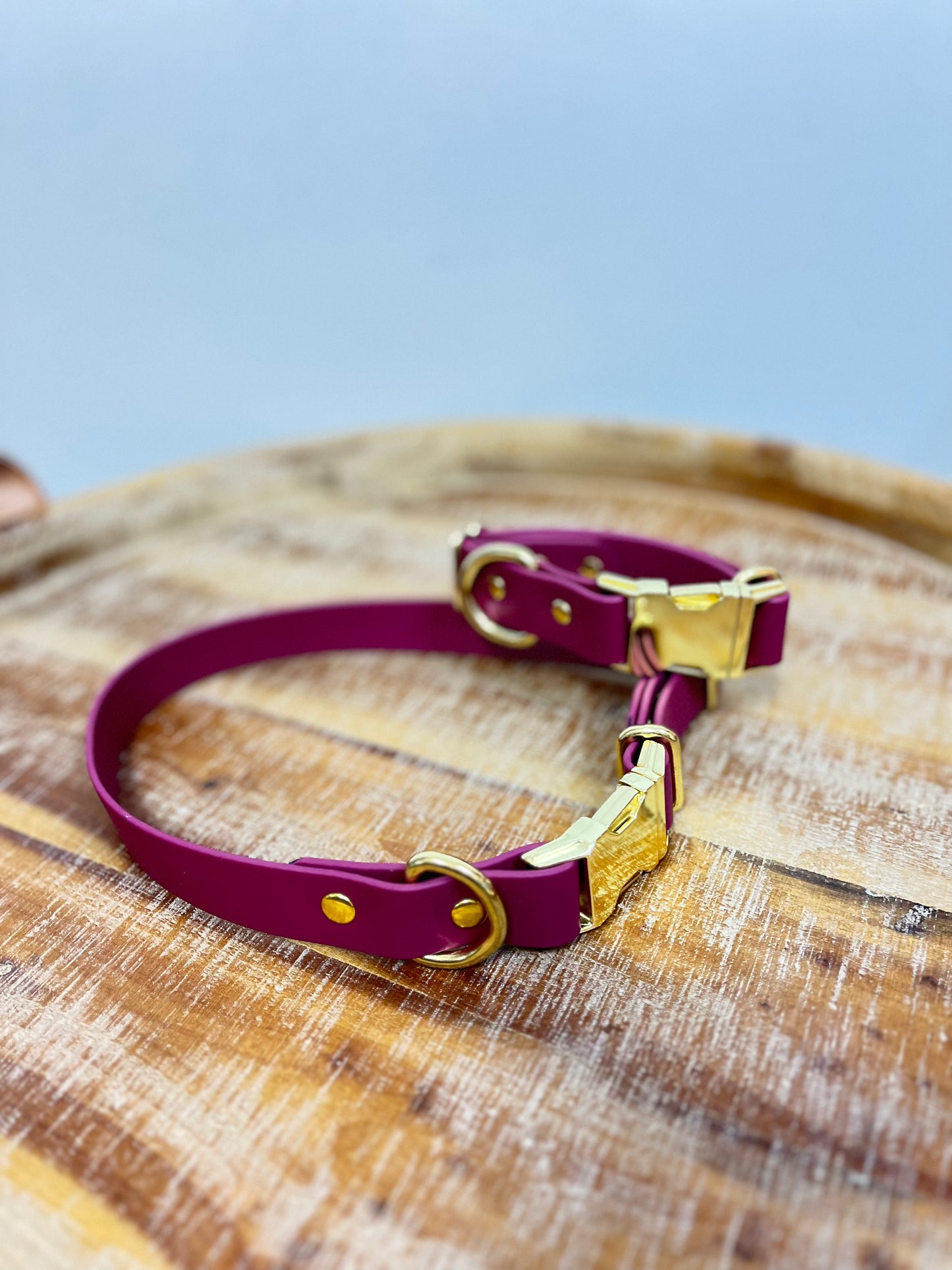 Burgundy collar with Brass Hardware