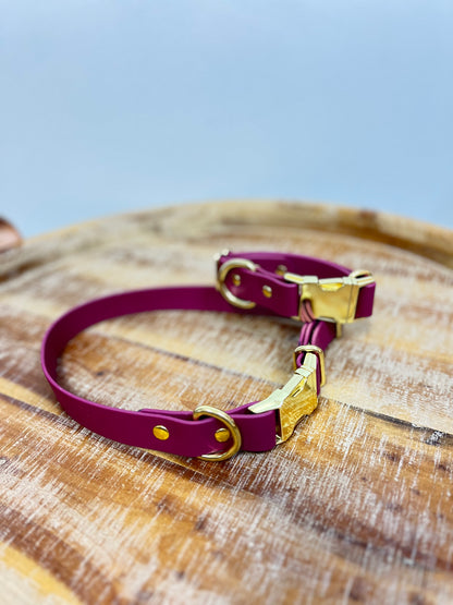 Burgundy collar with Brass Hardware