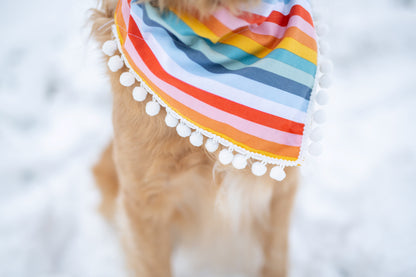 Rainbow Dog Bandana