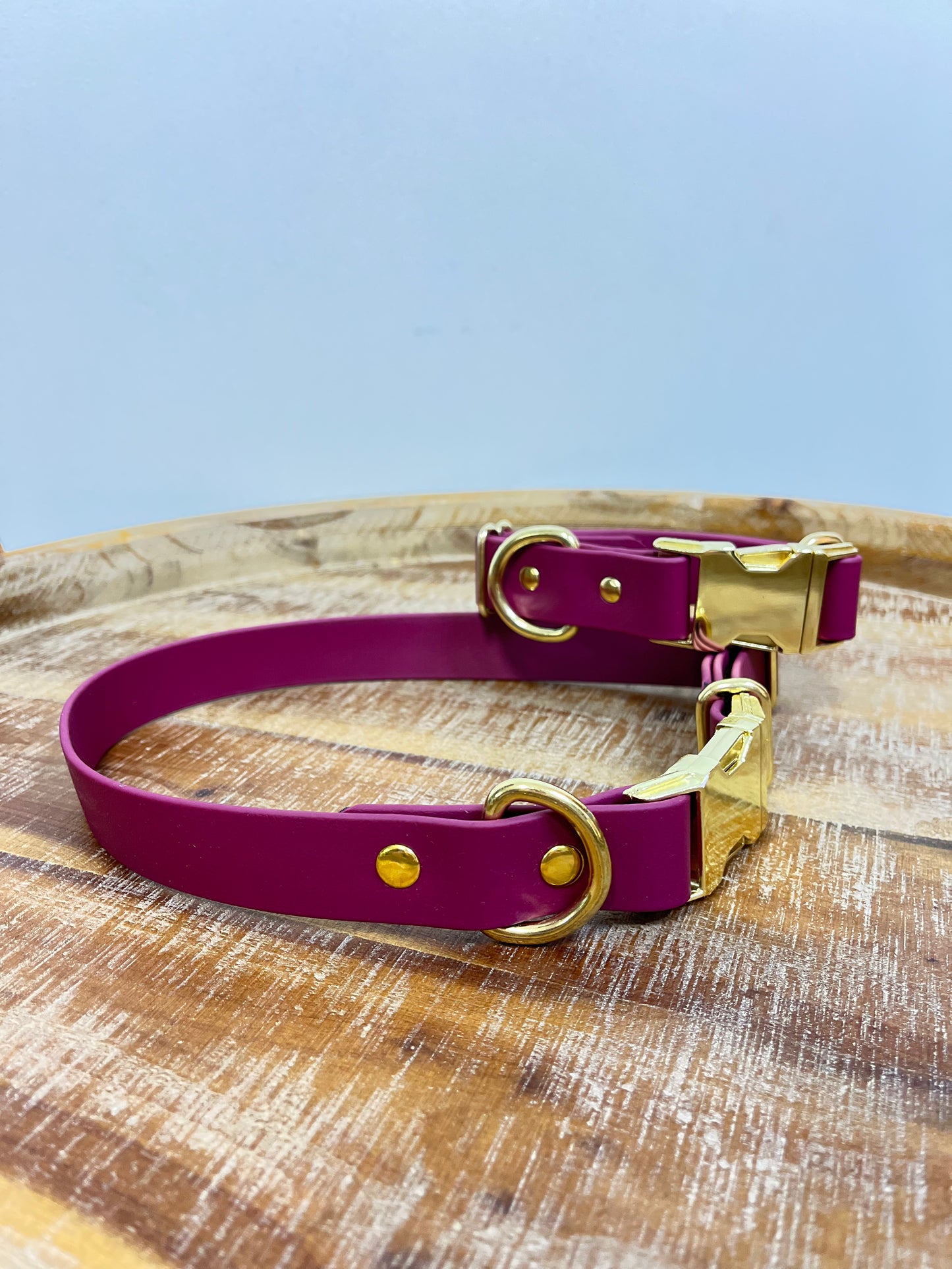 Burgundy collar with Brass Hardware
