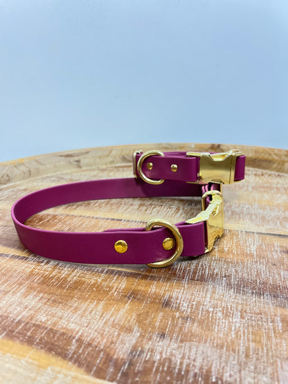 Burgundy collar with Brass Hardware