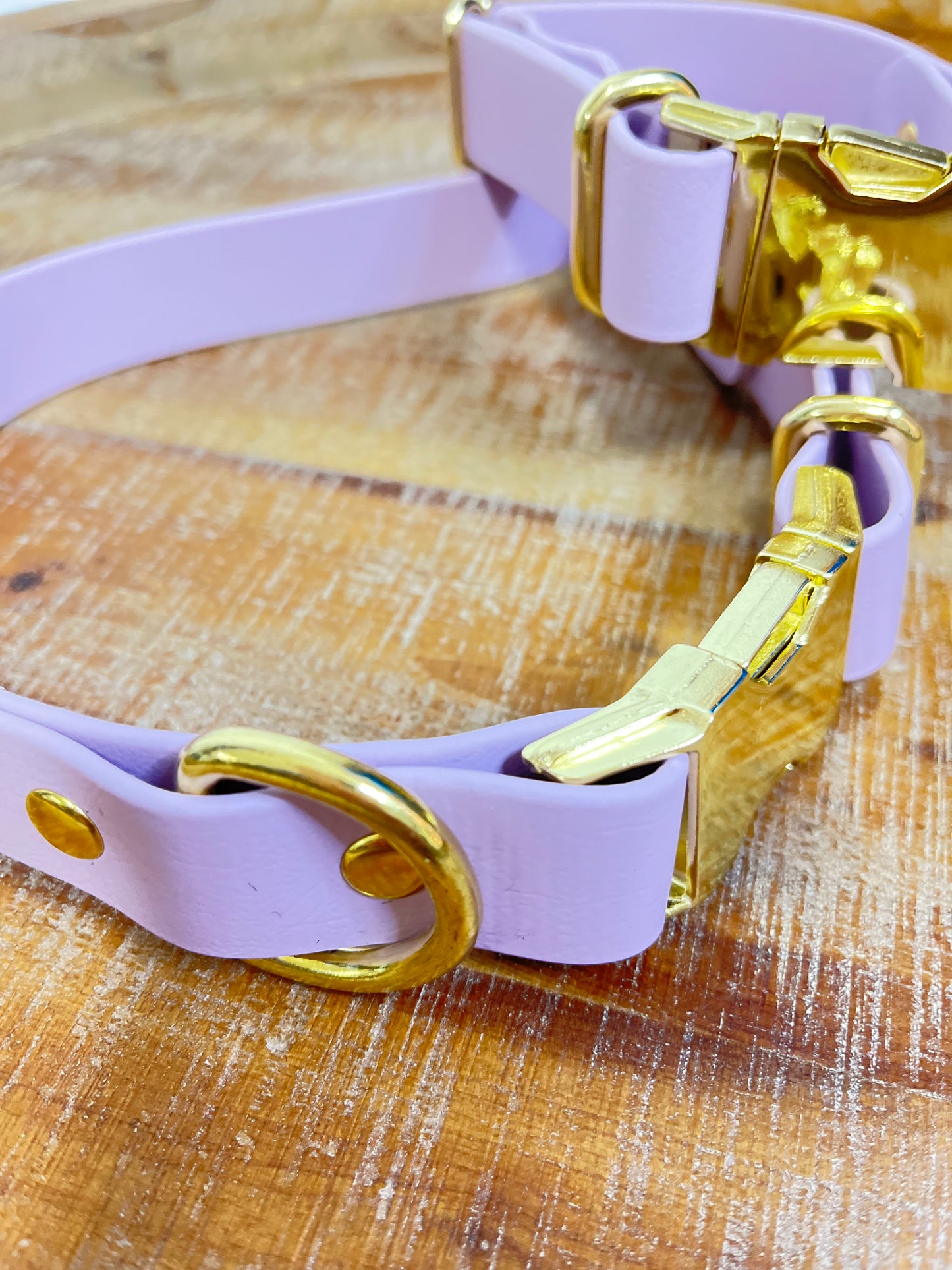 Lavender Collar with Brass Hardware