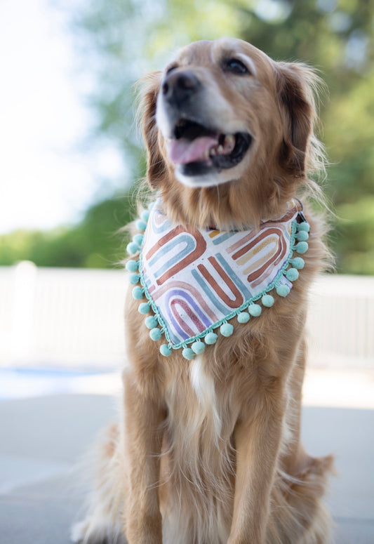 Rainbow Dog Bandana - Desert