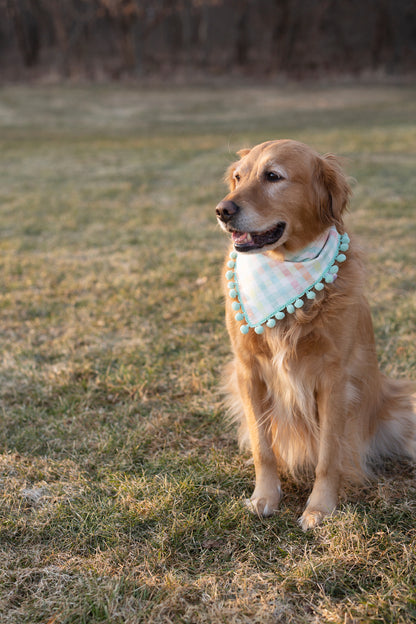 Payton (Easter ) Reversible