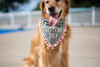 Gotcha Day Dog Bandana - Olive Green