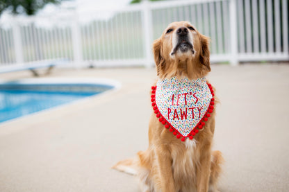 Campbell (Birthday Dog Bandana)