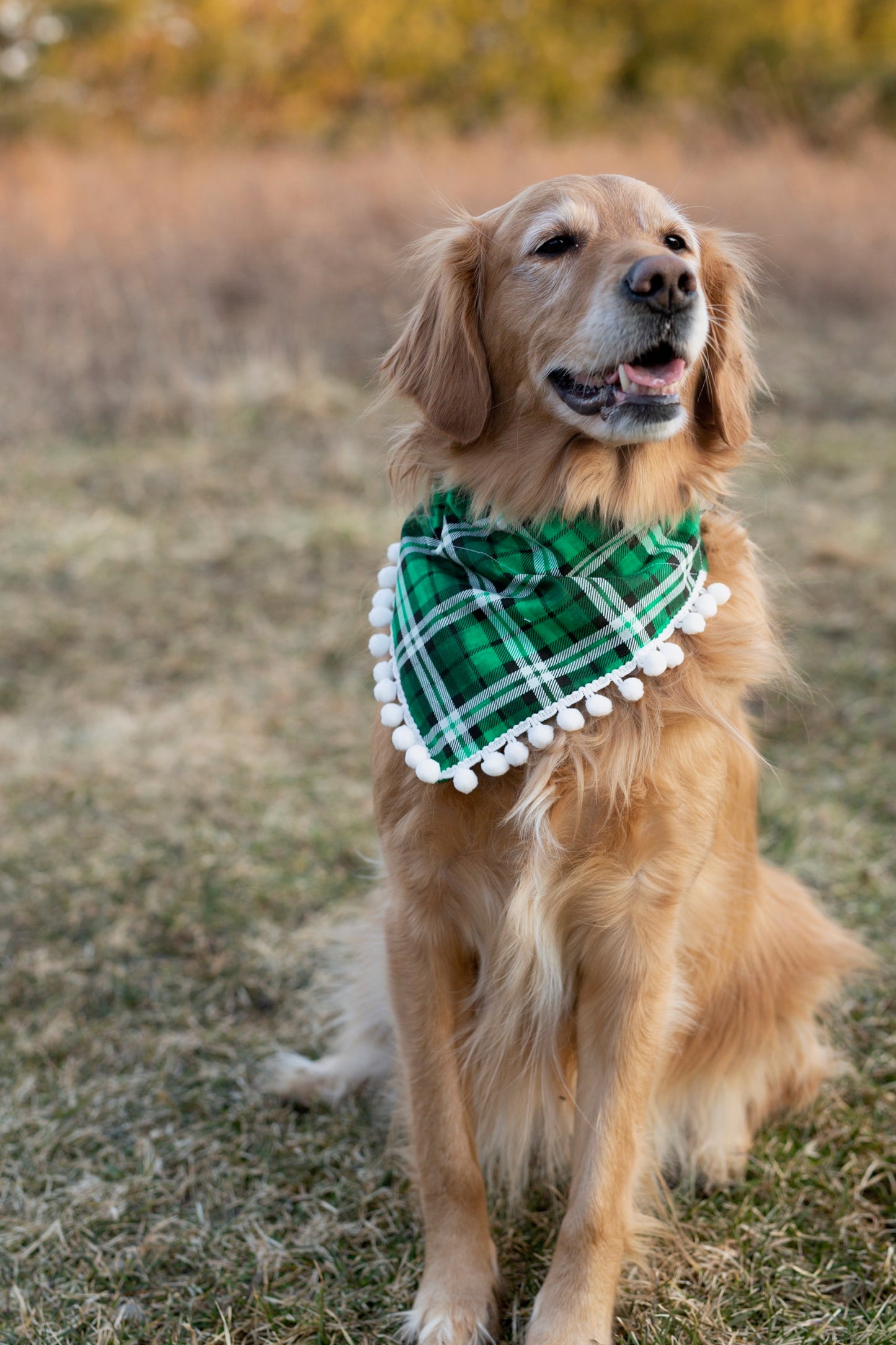 St. Patty's Day Dog Bandana