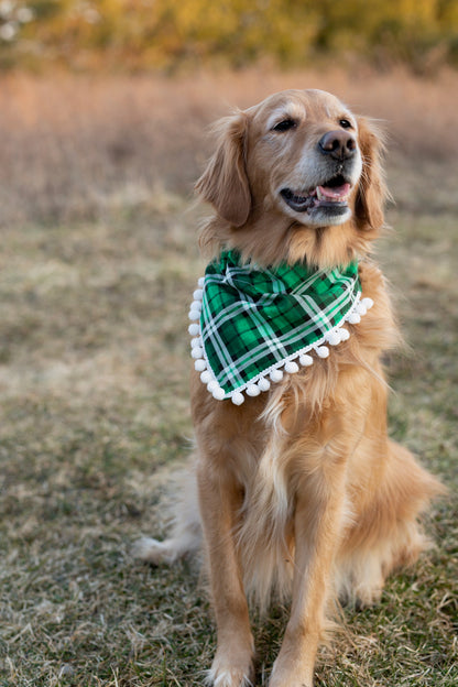 St. Patty's Day Dog Bandana