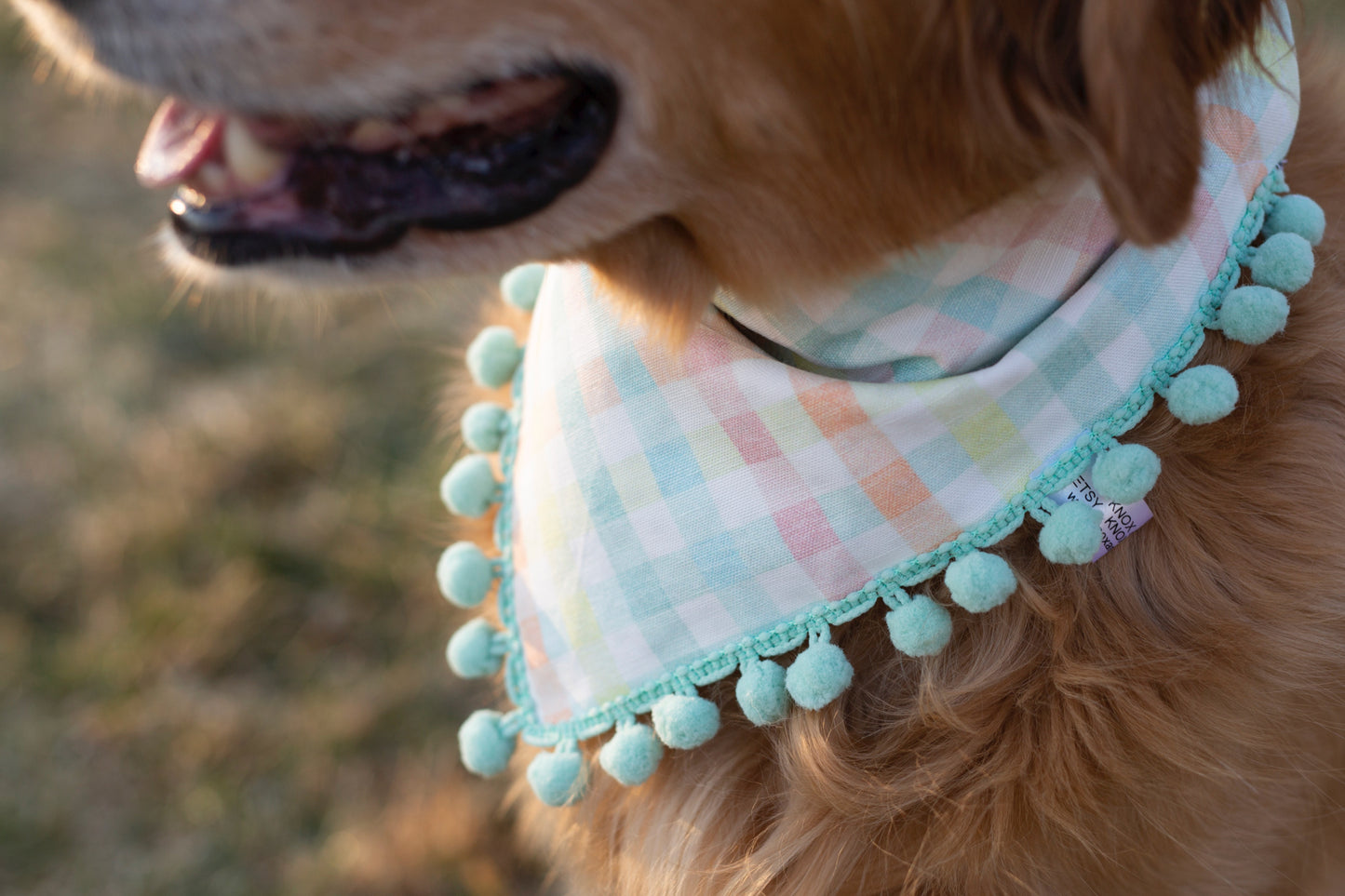 Payton (Easter ) Reversible