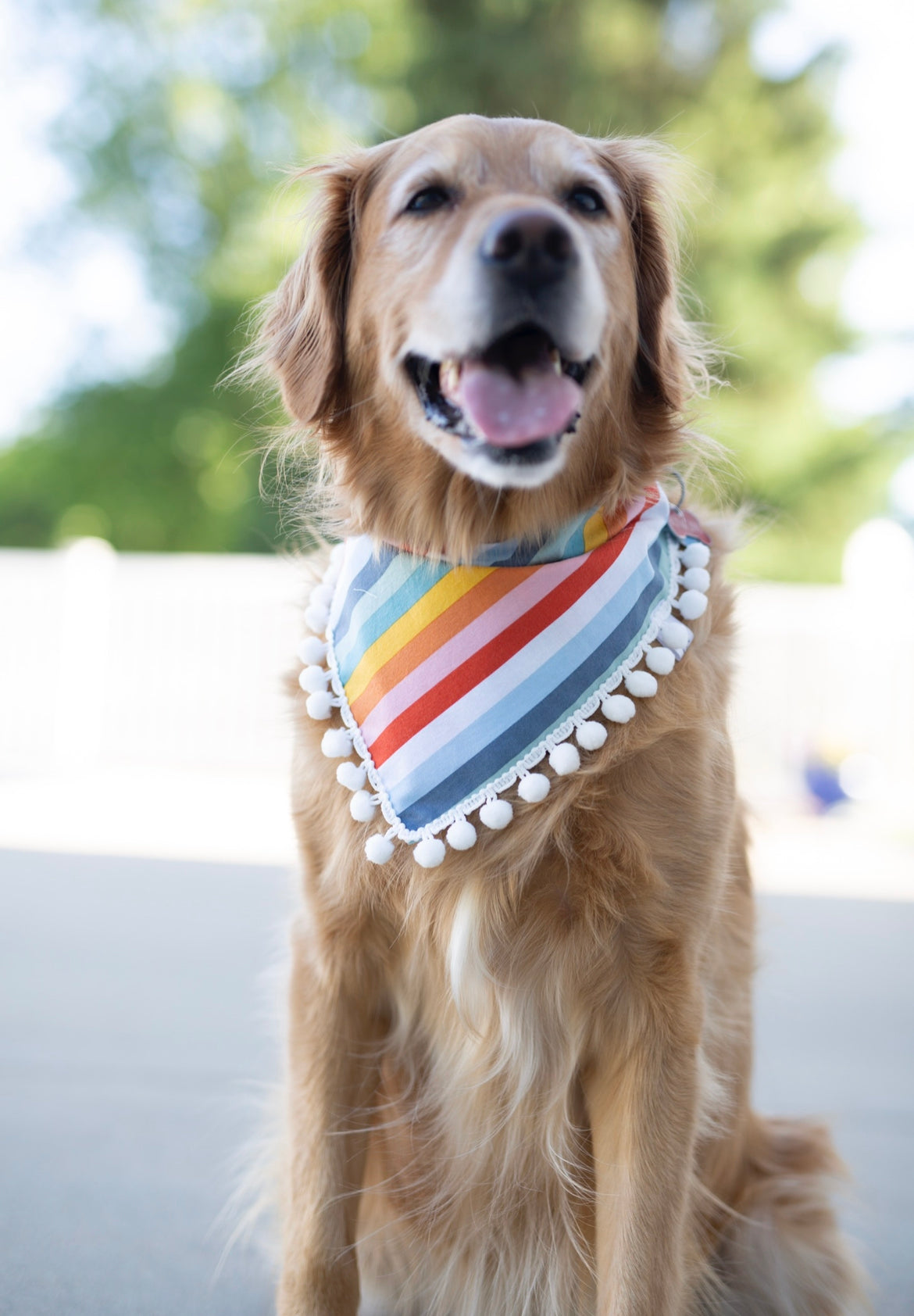 Rainbow Dog Bandana