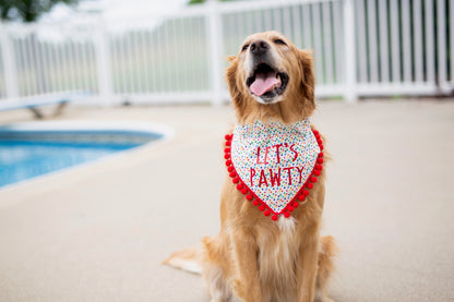 Campbell (Birthday Dog Bandana)