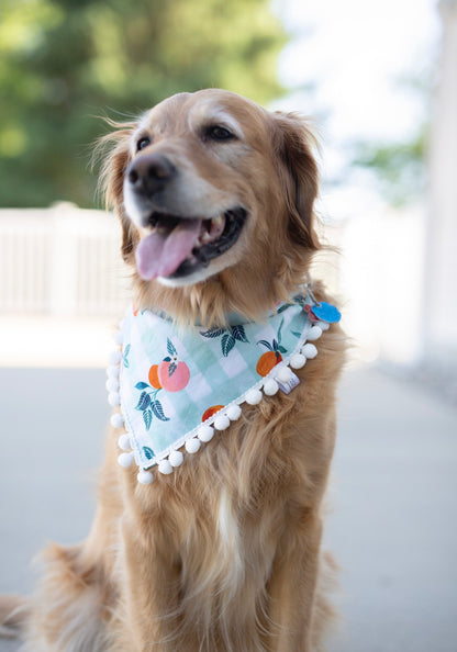 Summer Fruit Dog Bandana