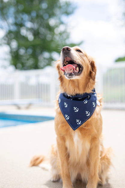 Nautical, Anchor dog bandana